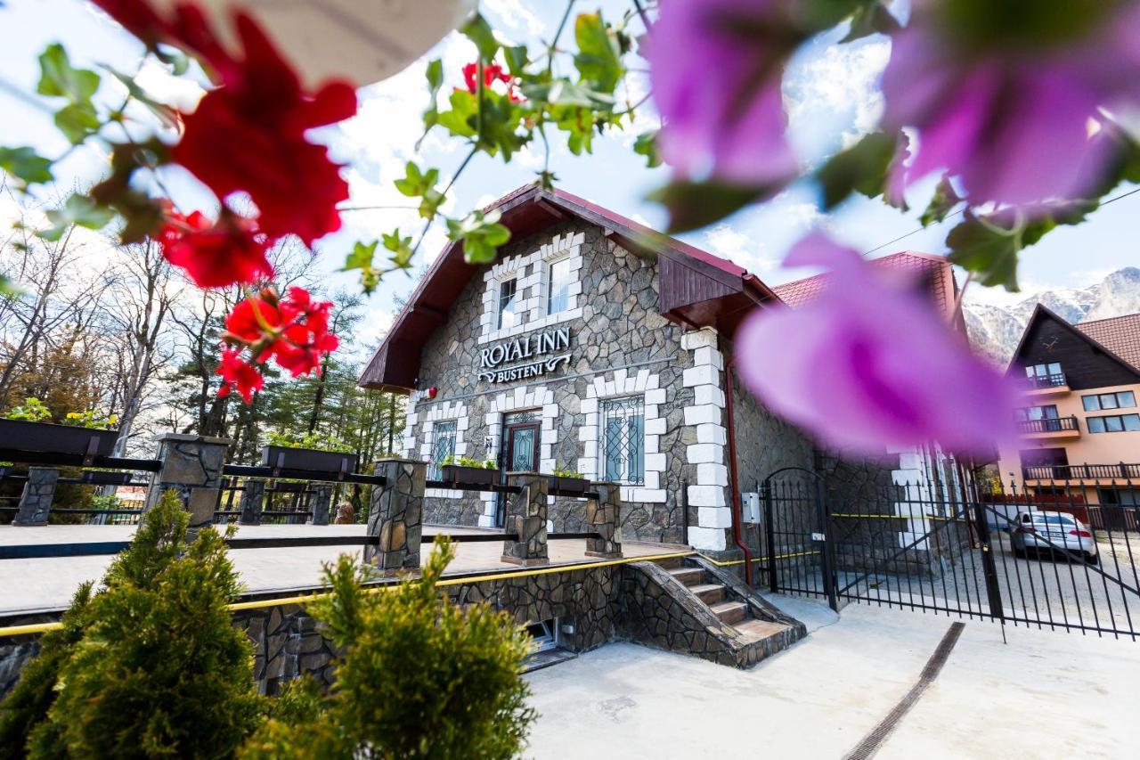 Royal Inn Busteni-Adults Only Exterior foto